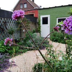 Natuurlijke stadstuin